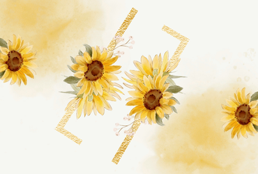 Motiviert bleiben beim Deutschlernen